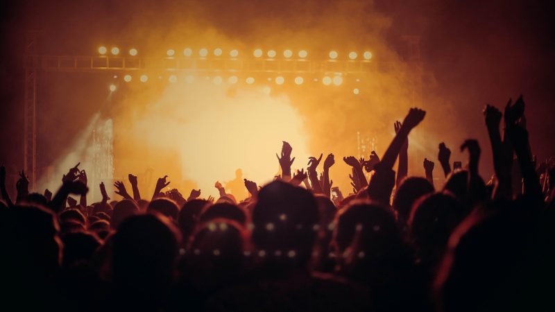 观众口碑与讨论焦点 示意图